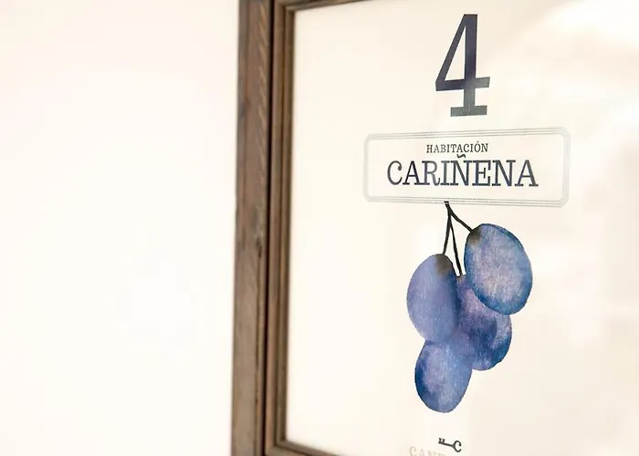 Hotel Boutique Canelobre